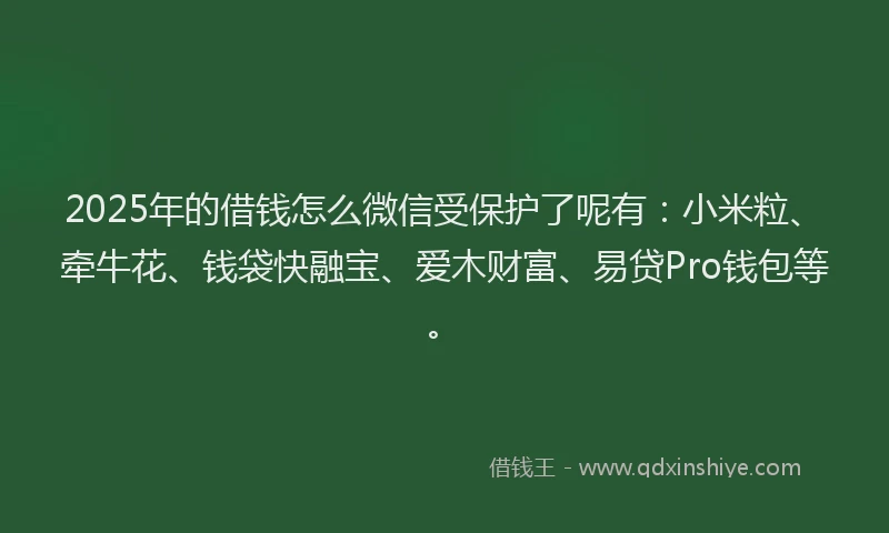 2025年的借钱怎么微信受保护了呢有：小米粒、牵牛花、钱袋快融宝、爱木财富、易贷Pro钱包等。