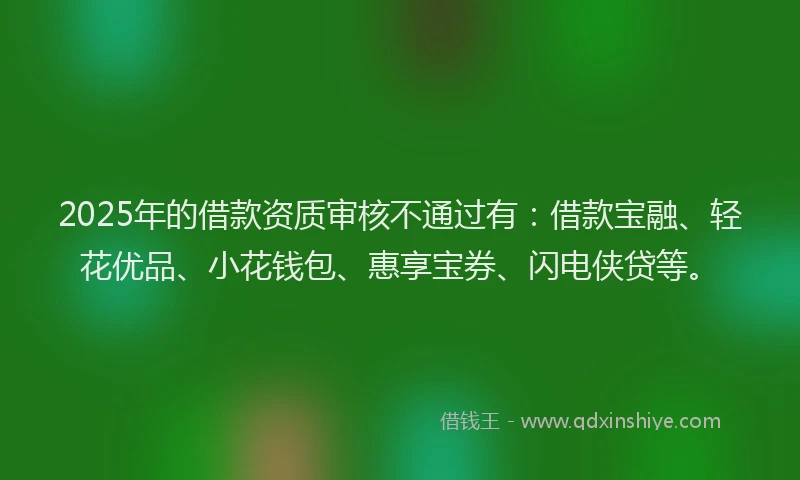 2025年的借款资质审核不通过有：借款宝融、轻花优品、小花钱包、惠享宝券、闪电侠贷等。