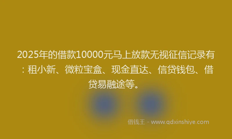 2025年的借款10000元马上放款无视征信记录有：租小新、微粒宝盒、现金直达、信贷钱包、借贷易融途等。
