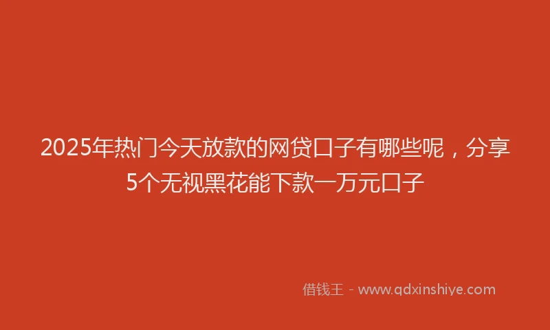 2025年热门今天放款的网贷口子有哪些呢，分享5个无视黑花能下款一万元口子