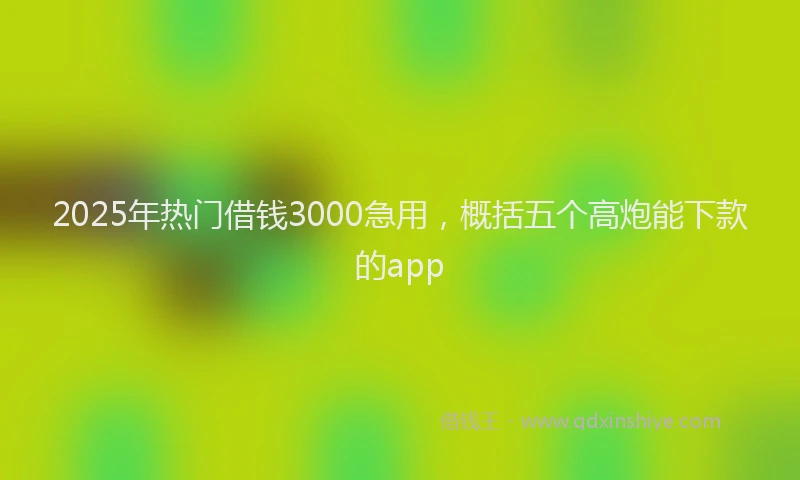 2025年热门借钱3000急用，概括五个高炮能下款的app