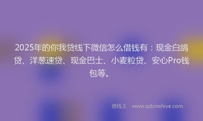 2025年的你我贷线下微信怎么借钱有：现金白鸽贷、洋葱速贷、现金巴士、小麦粒贷、安心Pro钱包等。