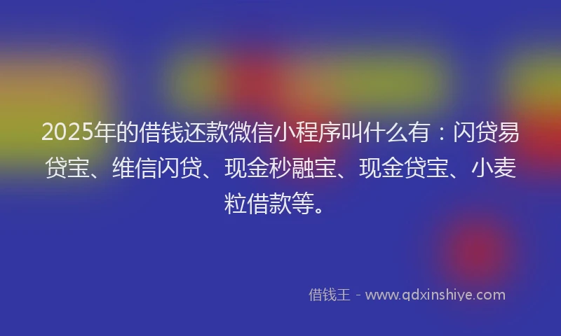 2025年的借钱还款微信小程序叫什么有：闪贷易贷宝、维信闪贷、现金秒融宝、现金贷宝、小麦粒借款等。