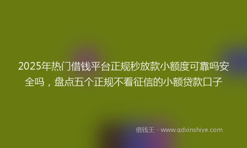 2025年热门借钱平台正规秒放款小额度可靠吗安全吗，盘点五个正规不看征信的小额贷款口子