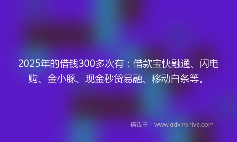2025年的借钱300多次有：借款宝快融通、闪电购、金小豚、现金秒贷易融、移动白条等。