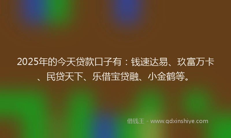 2025年的今天贷款口子有：钱速达易、玖富万卡、民贷天下、乐借宝贷融、小金鹤等。