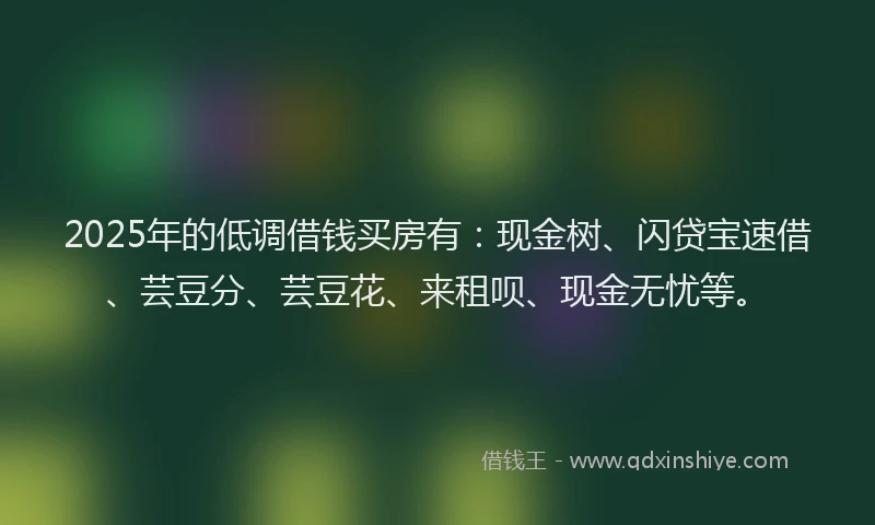 2025年的低调借钱买房有：现金树、闪贷宝速借、芸豆分、芸豆花、来租呗、现金无忧等。
