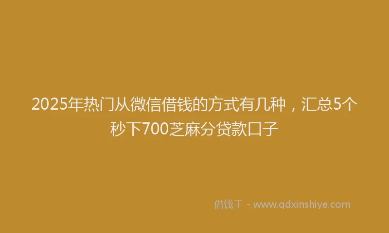 2025年热门从微信借钱的方式有几种，汇总5个秒下700芝麻分贷款口子