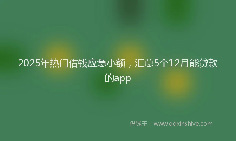2025年热门借钱应急小额，汇总5个12月能贷款的app