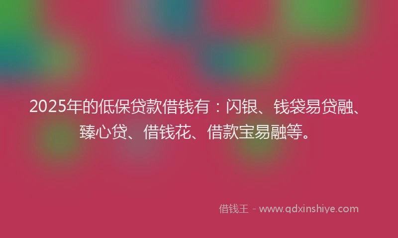 2025年的低保贷款借钱有：闪银、钱袋易贷融、臻心贷、借钱花、借款宝易融等。