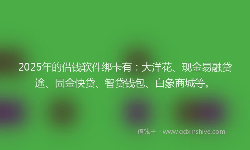 2025年的借钱软件绑卡有：大洋花、现金易融贷途、固金快贷、智贷钱包、白象商城等。