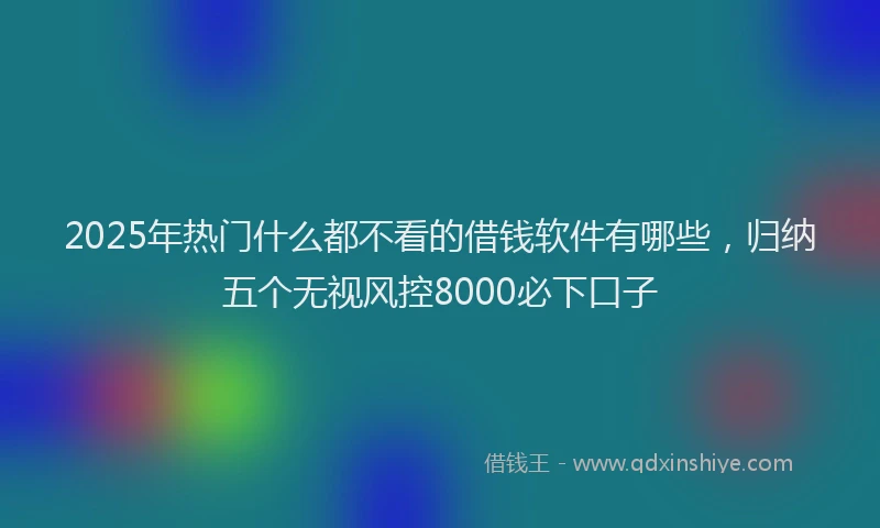 2025年热门什么都不看的借钱软件有哪些，归纳五个无视风控8000必下口子