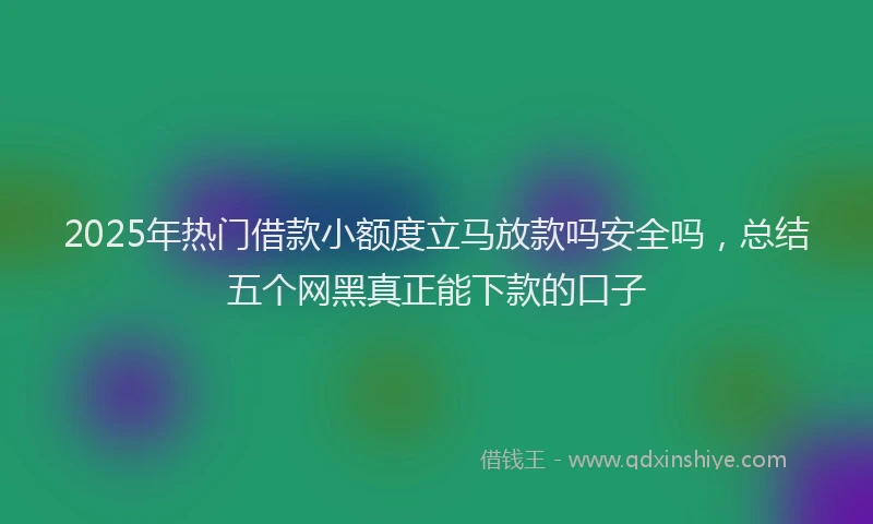 2025年热门借款小额度立马放款吗安全吗，总结五个网黑真正能下款的口子