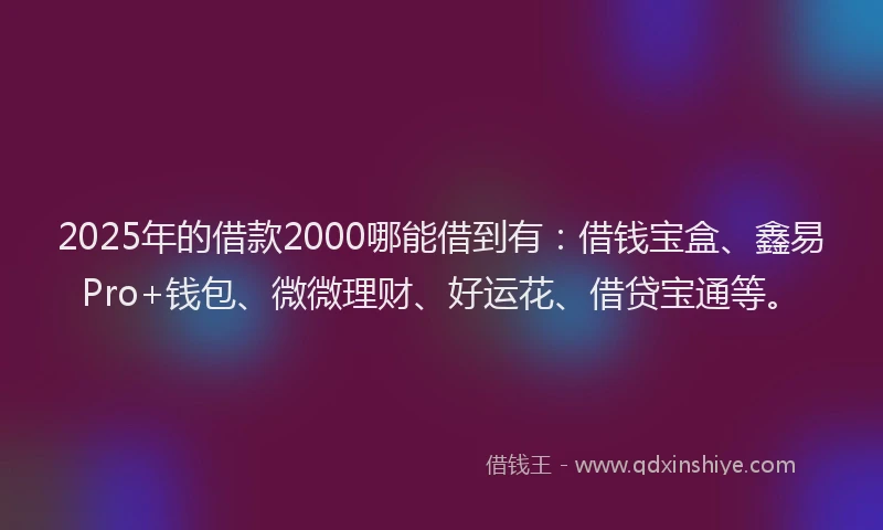2025年的借款2000哪能借到有：借钱宝盒、鑫易Pro+钱包、微微理财、好运花、借贷宝通等。