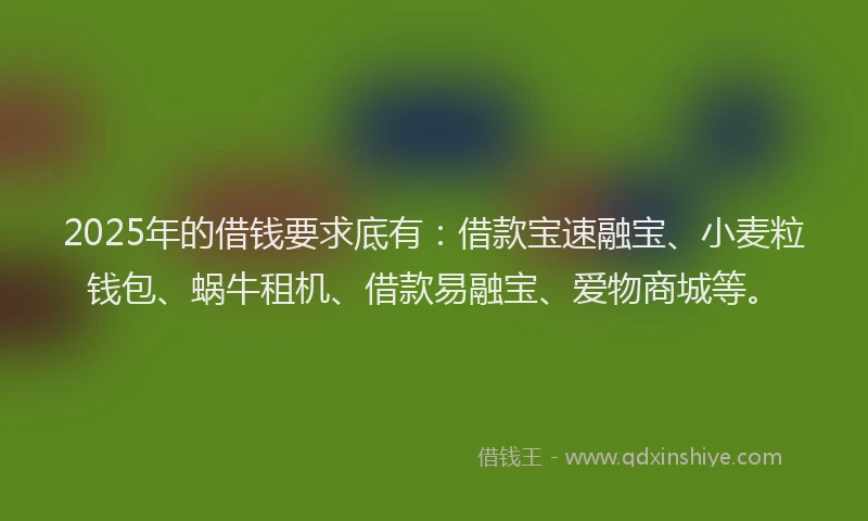 2025年的借钱要求底有：借款宝速融宝、小麦粒钱包、蜗牛租机、借款易融宝、爱物商城等。