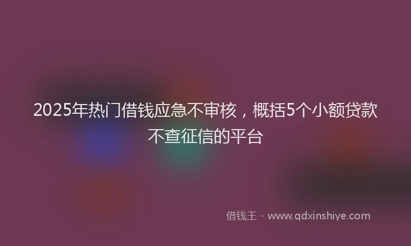 2025年热门借钱应急不审核，概括5个小额贷款不查征信的平台