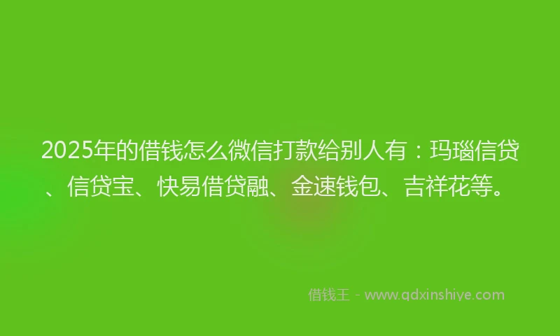 2025年的借钱怎么微信打款给别人有：玛瑙信贷、信贷宝、快易借贷融、金速钱包、吉祥花等。