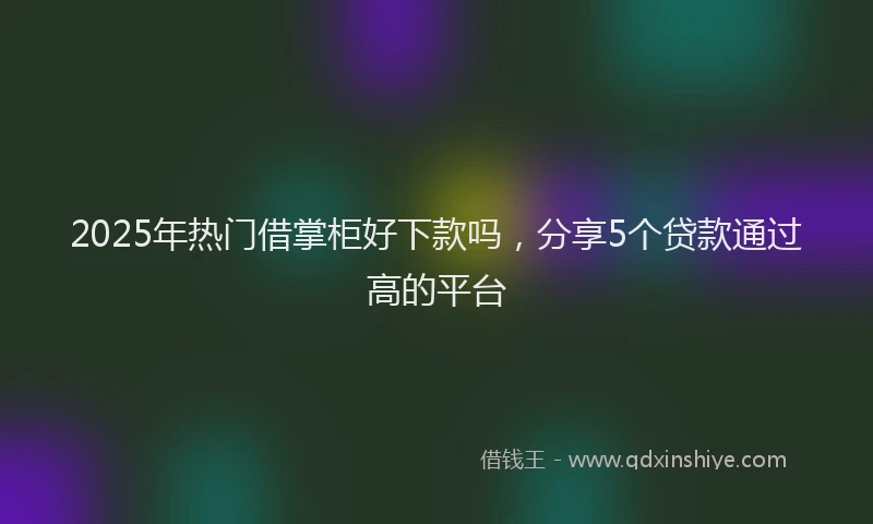 2025年热门借掌柜好下款吗，分享5个贷款通过高的平台
