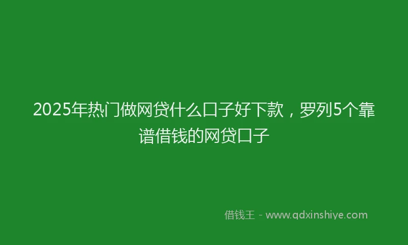 2025年热门做网贷什么口子好下款，罗列5个靠谱借钱的网贷口子