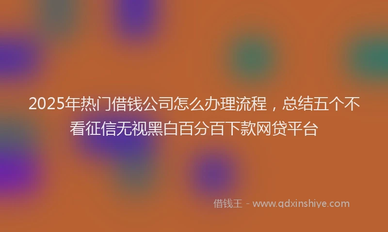 2025年热门借钱公司怎么办理流程，总结五个不看征信无视黑白百分百下款网贷平台