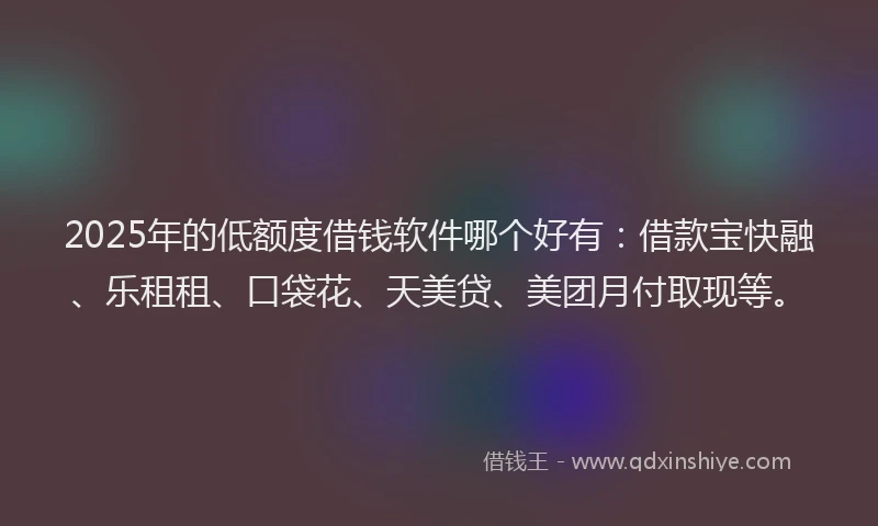 2025年的低额度借钱软件哪个好有：借款宝快融、乐租租、口袋花、天美贷、美团月付取现等。