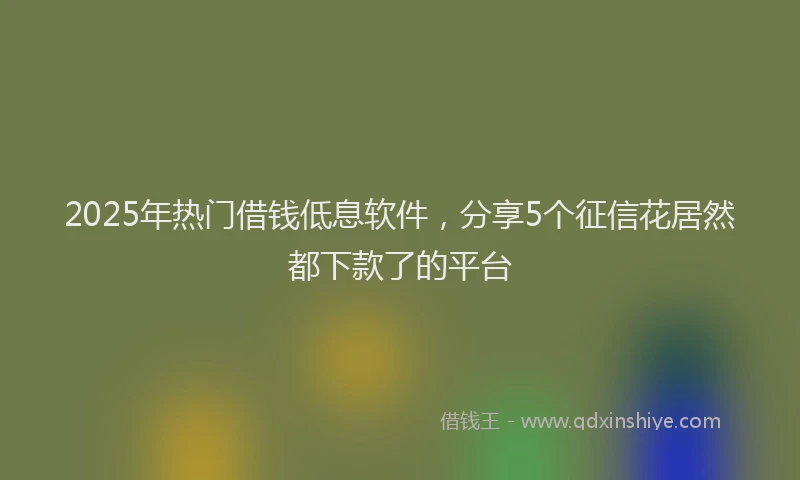 2025年热门借钱低息软件，分享5个征信花居然都下款了的平台