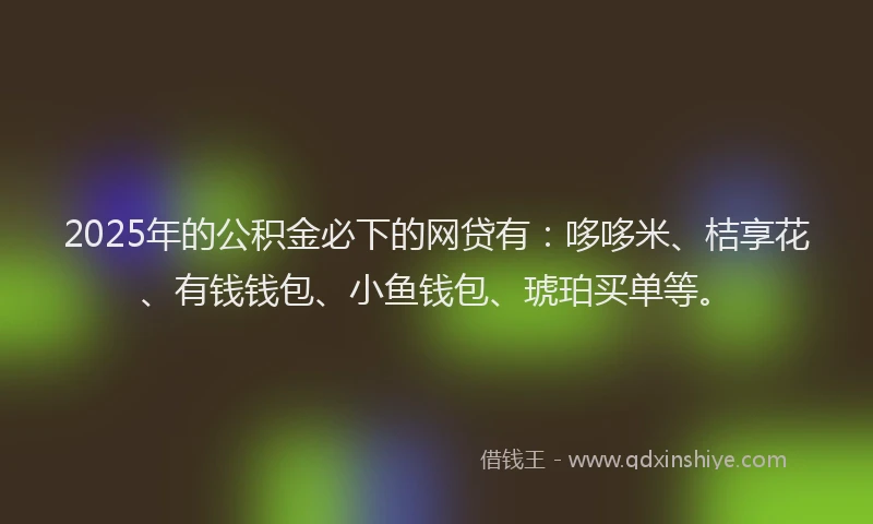 2025年的公积金必下的网贷有：哆哆米、桔享花、有钱钱包、小鱼钱包、琥珀买单等。