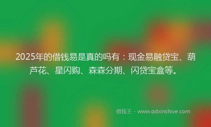 2025年的借钱易是真的吗有：现金易融贷宝、葫芦花、星闪购、森森分期、闪贷宝盒等。