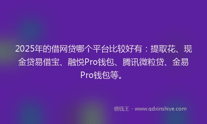 2025年的借网贷哪个平台比较好有：提取花、现金贷易借宝、融悦Pro钱包、腾讯微粒贷、金易Pro钱包等。