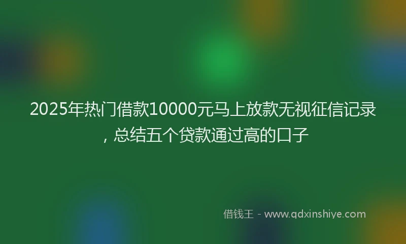 2025年热门借款10000元马上放款无视征信记录，总结五个贷款通过高的口子