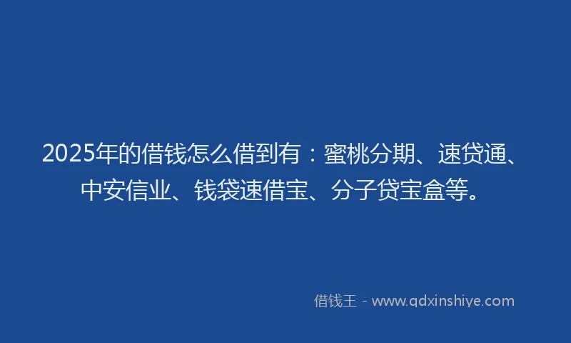 2025年的借钱怎么借到有：蜜桃分期、速贷通、中安信业、钱袋速借宝、分子贷宝盒等。