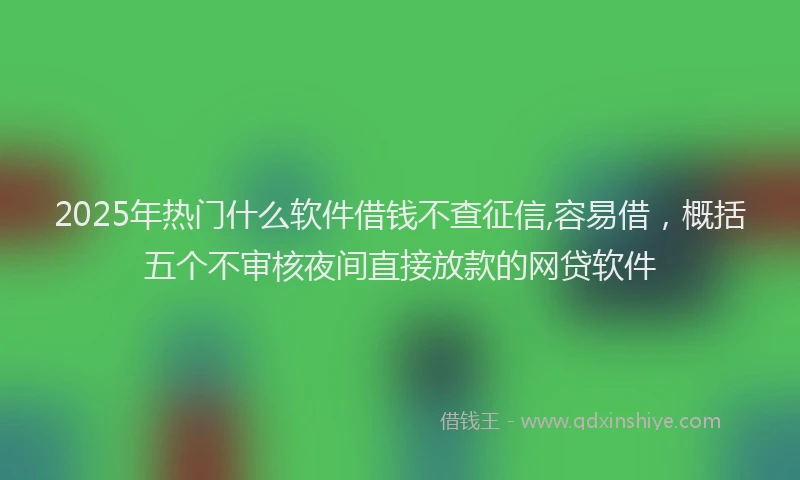 2025年热门什么软件借钱不查征信,容易借，概括五个不审核夜间直接放款的网贷软件