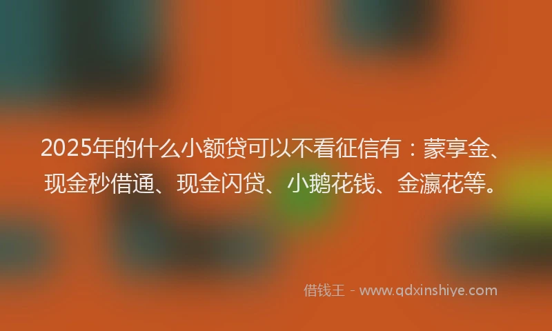2025年的什么小额贷可以不看征信有：蒙享金、现金秒借通、现金闪贷、小鹅花钱、金瀛花等。