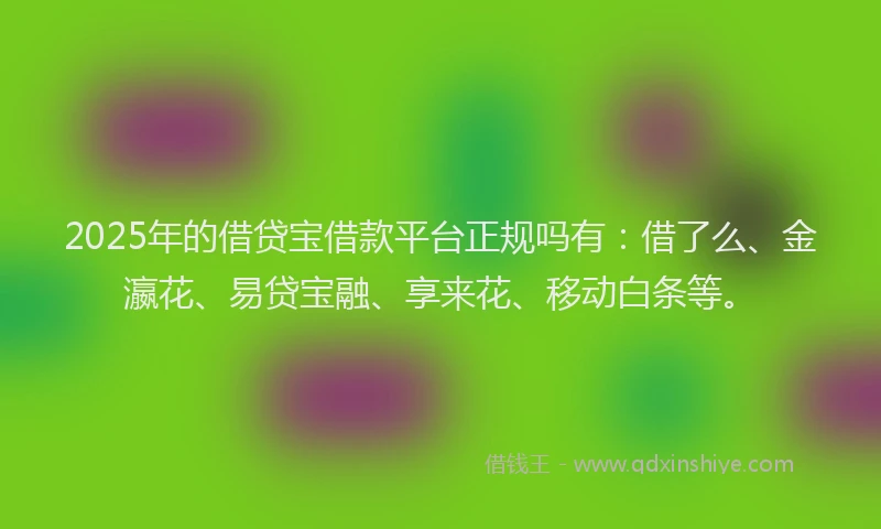 2025年的借贷宝借款平台正规吗有：借了么、金瀛花、易贷宝融、享来花、移动白条等。