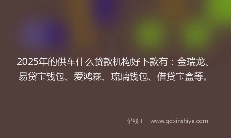 2025年的供车什么贷款机构好下款有：金瑞龙、易贷宝钱包、爱鸿森、琉璃钱包、借贷宝盒等。