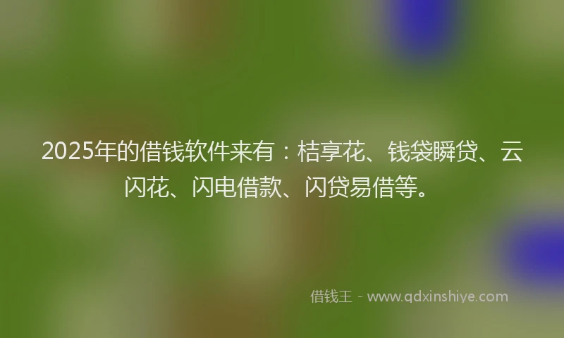 2025年的借钱软件来有：桔享花、钱袋瞬贷、云闪花、闪电借款、闪贷易借等。
