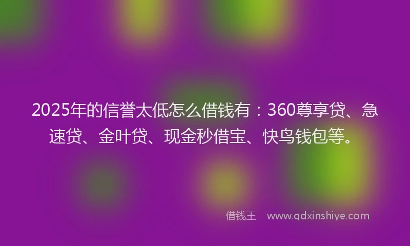 2025年的信誉太低怎么借钱有：360尊享贷、急速贷、金叶贷、现金秒借宝、快鸟钱包等。