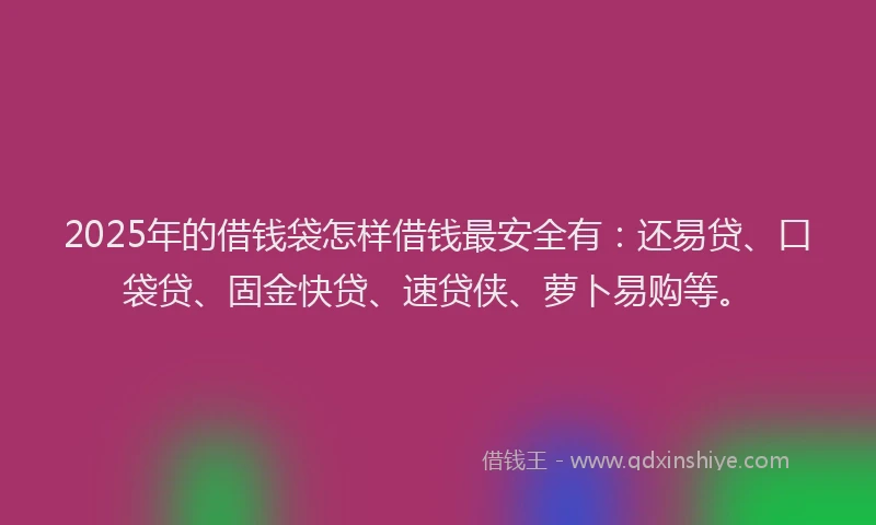 2025年的借钱袋怎样借钱最安全有：还易贷、口袋贷、固金快贷、速贷侠、萝卜易购等。