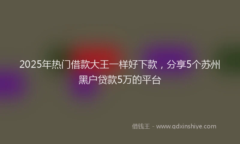 2025年热门借款大王一样好下款，分享5个苏州黑户贷款5万的平台