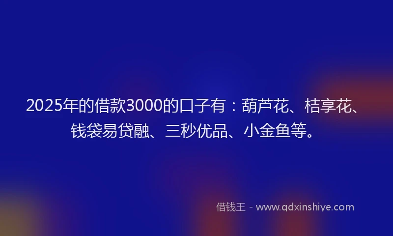 2025年的借款3000的口子有：葫芦花、桔享花、钱袋易贷融、三秒优品、小金鱼等。