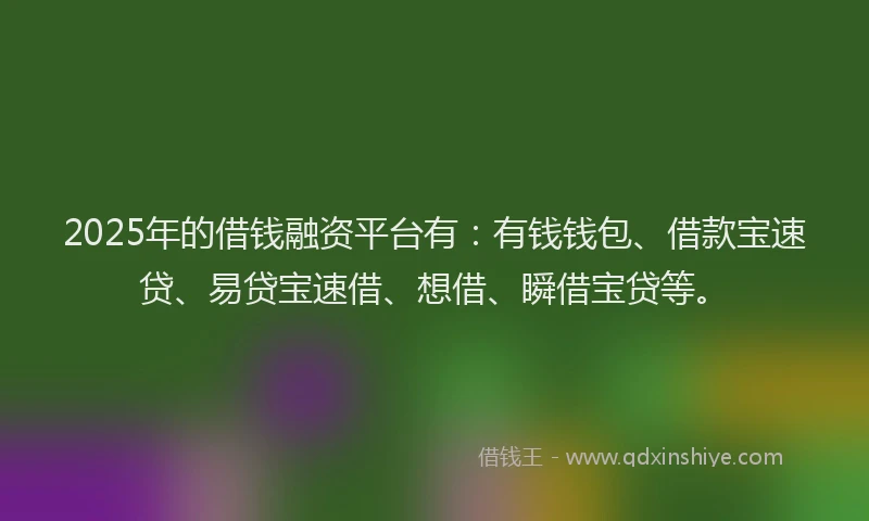 2025年的借钱融资平台有：有钱钱包、借款宝速贷、易贷宝速借、想借、瞬借宝贷等。