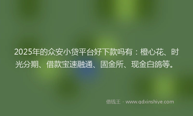2025年的众安小贷平台好下款吗有：橙心花、时光分期、借款宝速融通、固金所、现金白鸽等。
