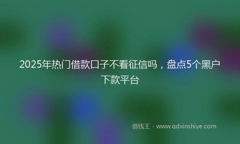 2025年热门借款口子不看征信吗，盘点5个黑户下款平台