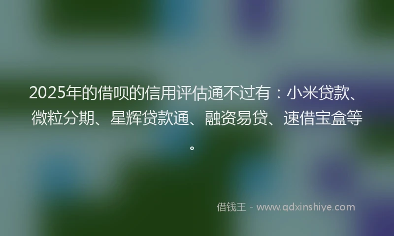 2025年的借呗的信用评估通不过有：小米贷款、微粒分期、星辉贷款通、融资易贷、速借宝盒等。