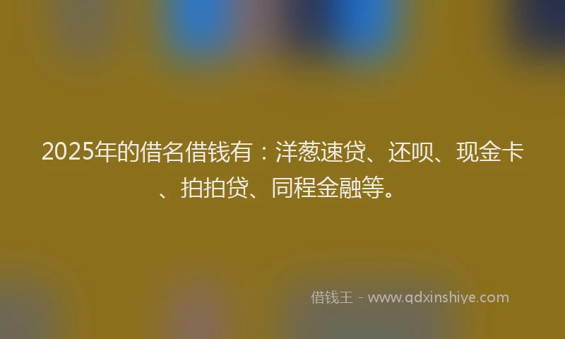 2025年的借名借钱有：洋葱速贷、还呗、现金卡、拍拍贷、同程金融等。