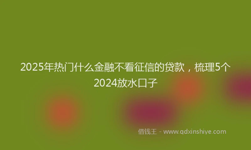 2025年热门什么金融不看征信的贷款，梳理5个2024放水口子