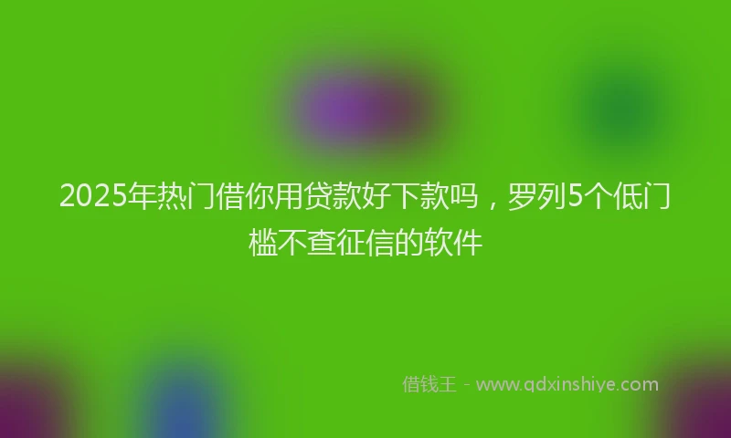 2025年热门借你用贷款好下款吗，罗列5个低门槛不查征信的软件