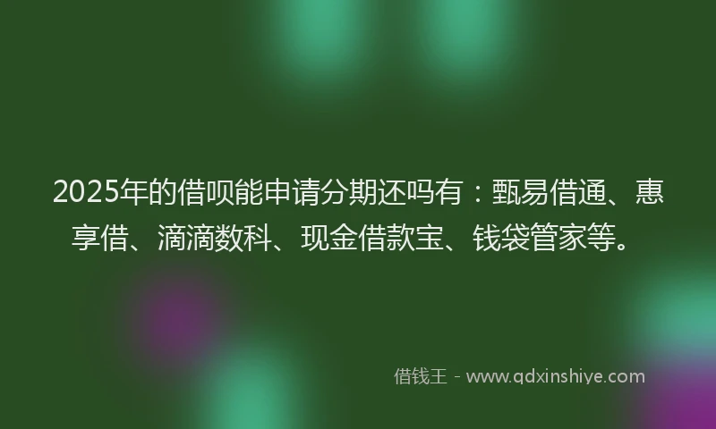2025年的借呗能申请分期还吗有：甄易借通、惠享借、滴滴数科、现金借款宝、钱袋管家等。