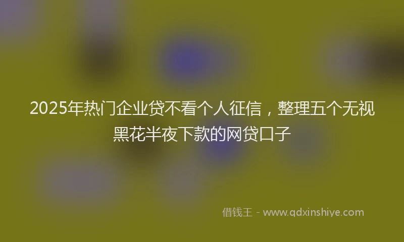 2025年热门企业贷不看个人征信，整理五个无视黑花半夜下款的网贷口子