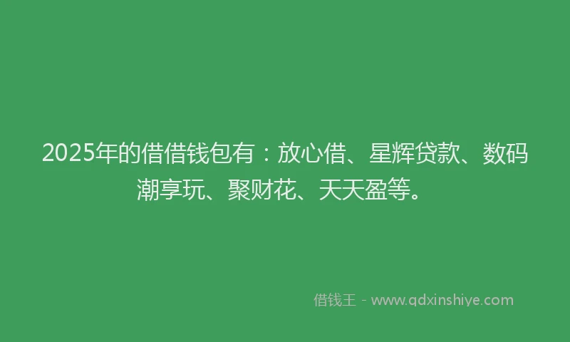 2025年的借借钱包有：放心借、星辉贷款、数码潮享玩、聚财花、天天盈等。